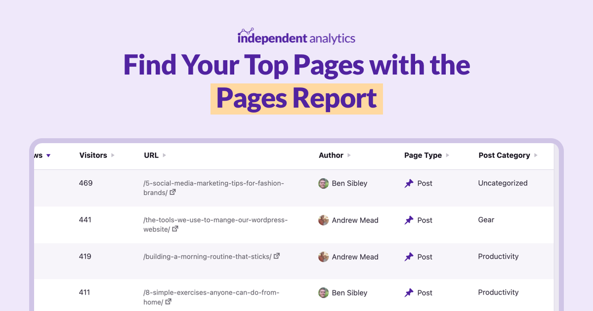 Page Analysis Example Page Analytics with WordPress Integration - Independent Analytics